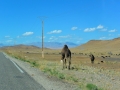16 Fahrt Trinjedad - 0742