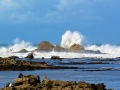 34 Essaouira - 1291