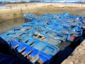34 Essaouira - 1303