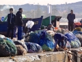 34 Essaouira - 1314