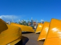 34 Essaouira - 1318