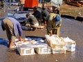 34 Essaouira - 1344