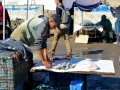 34 Essaouira - 1347