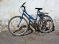 34 Essaouira - 1351