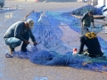 34 Essaouira - 1352