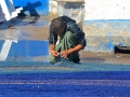 34 Essaouira - 1354