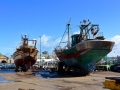 34 Essaouira - 1358