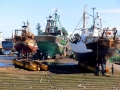 34 Essaouira - 1359