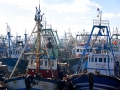 34 Essaouira - 1361