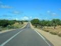 33 Fahrt Essaouira - 1197