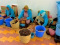 33 Fahrt Essaouira - 1203