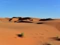 13 Zeltcamp Sahara - 0617