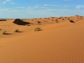 13 Zeltcamp Sahara - 0620