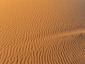 13 Zeltcamp Sahara - 0621