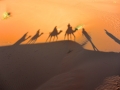 13 Zeltcamp Sahara - 0631