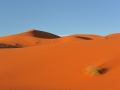 13 Zeltcamp Sahara - 0648