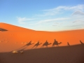 13 Zeltcamp Sahara - 0649