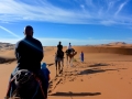 14 Zeltcamp Sahara - 0696
