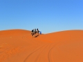 14 Zeltcamp Sahara - 0697