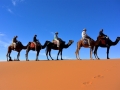 14 Zeltcamp Sahara - 0700
