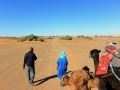 14 Zeltcamp Sahara - 0705