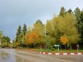 12 Fahrt Merzouga - 519