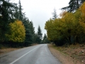 12 Fahrt Merzouga - 526