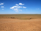 05-fahrt-suedgobi-0568