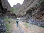 06-altai-666