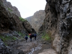 06-altai-753