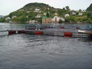 norwegen_sept-09-189