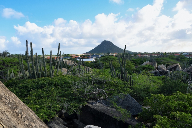 Tag-05-6-Casibari-322