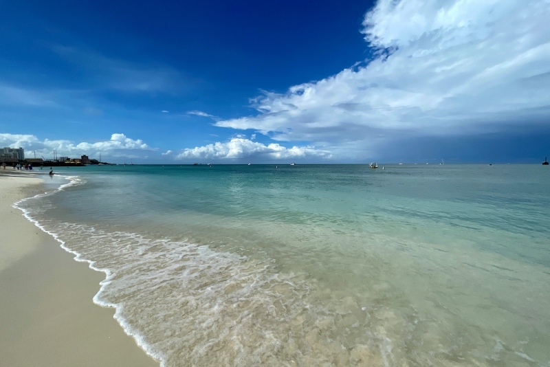 Tag-07-Palm-Beach-482