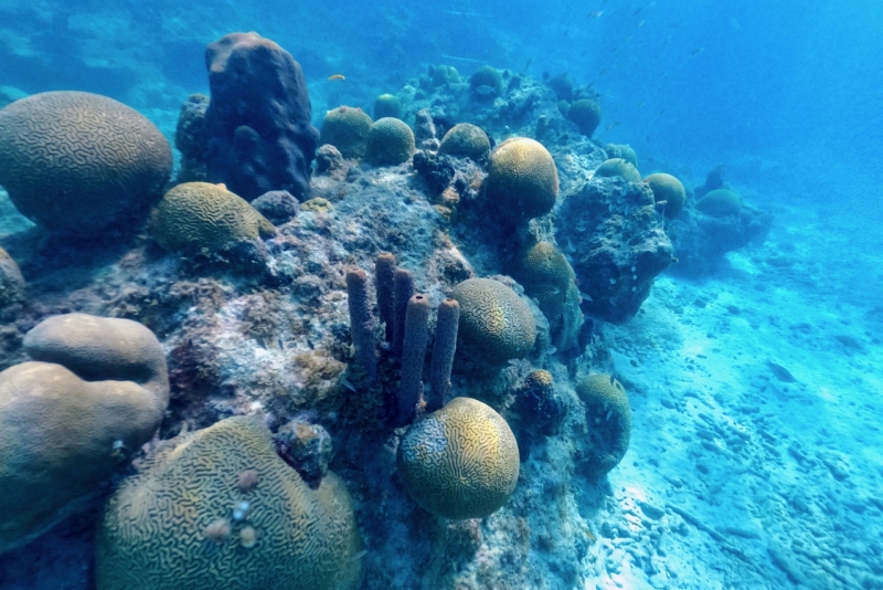 DCIM100GOPROGOPR2770.JPG