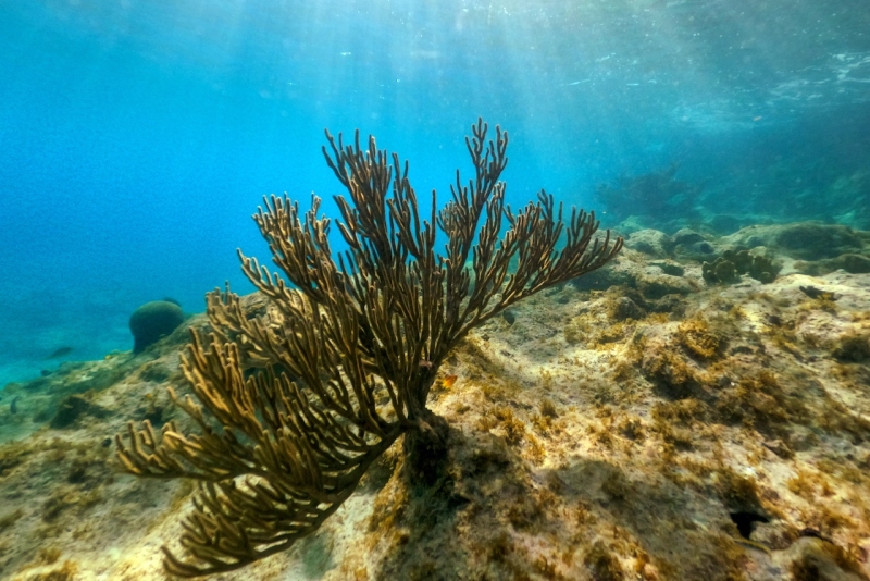 DCIM100GOPROGOPR2802.JPG