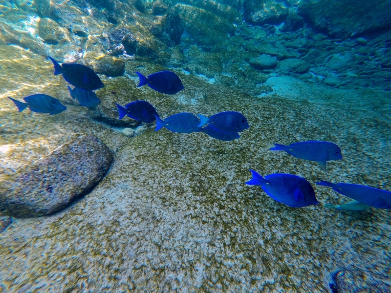 DCIM\100GOPRO\GOPR2868.JPG