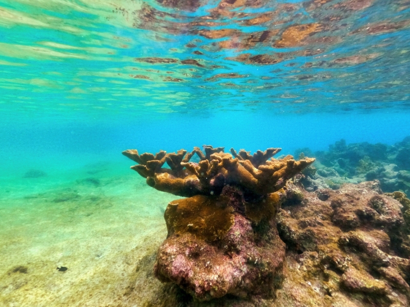DCIM\100GOPRO\GOPR2908.JPG
