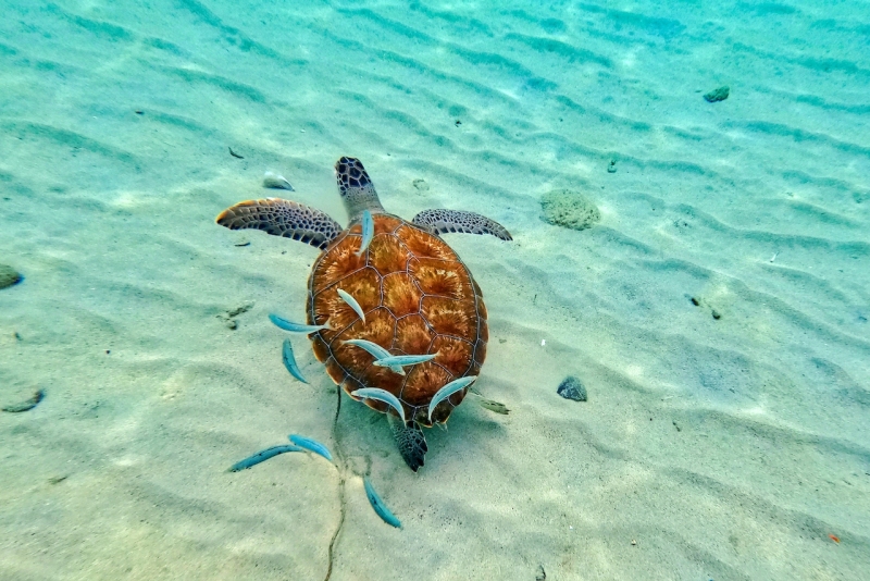 DCIM\100GOPRO\GOPR2964.JPG