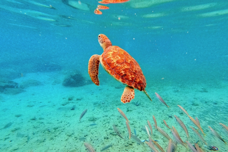 DCIM\100GOPRO\GOPR2993.JPG