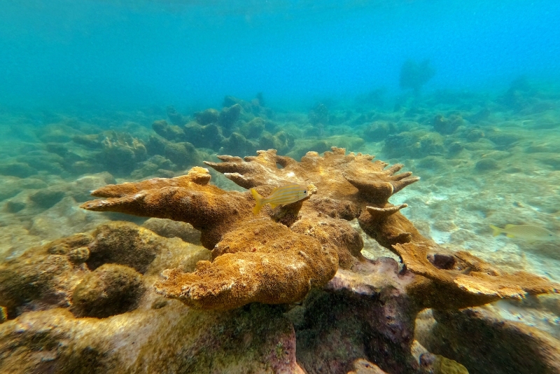 DCIM\100GOPRO\GOPR3187.JPG