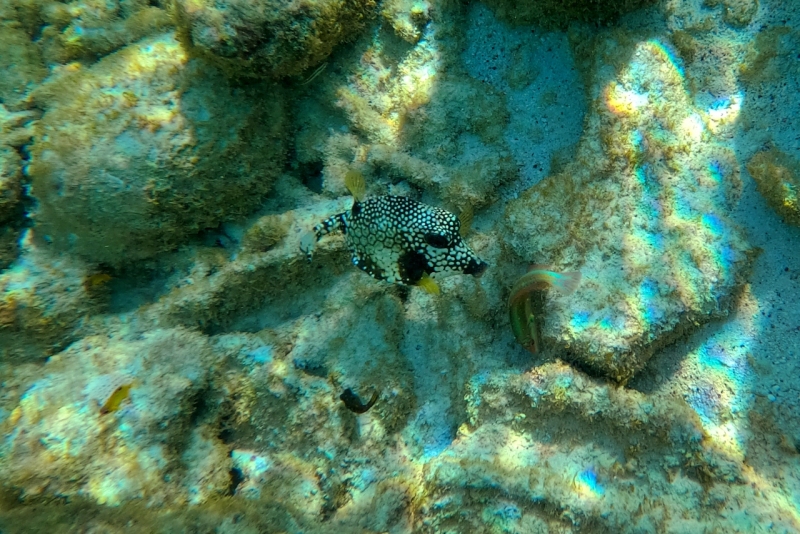 DCIM\100GOPRO\GOPR3201.JPG