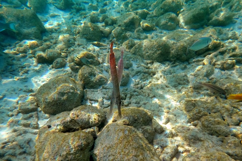 DCIM\100GOPRO\GOPR3206.JPG