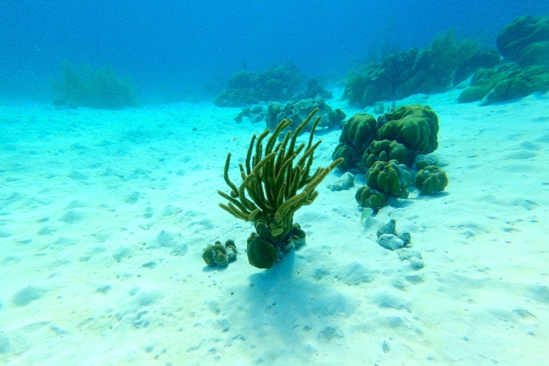 DCIM\100GOPRO\GOPR3215.JPG