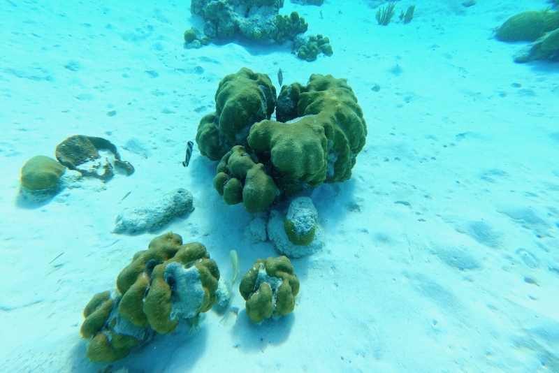 DCIM\100GOPRO\GOPR3217.JPG