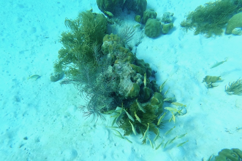 DCIM\100GOPRO\GOPR3238.JPG