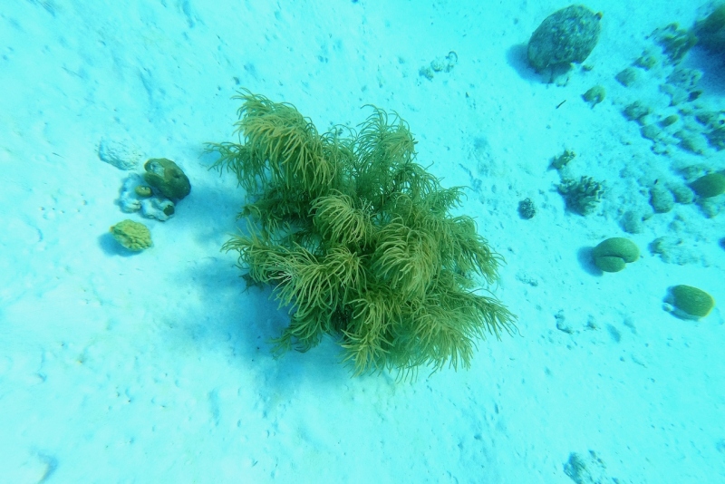 DCIM\100GOPRO\GOPR3241.JPG