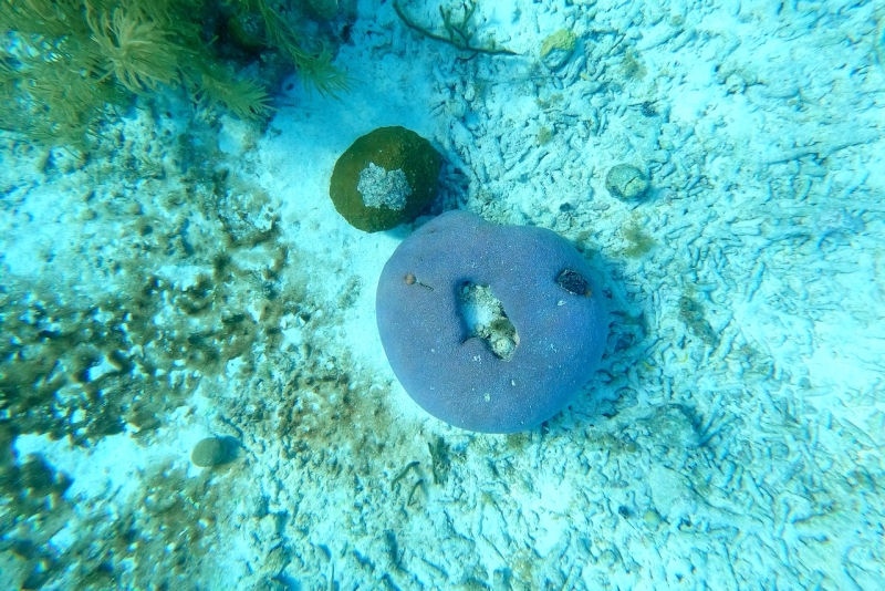 DCIM\100GOPRO\GOPR3249.JPG