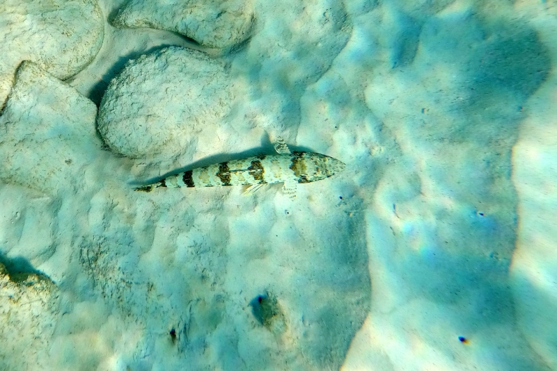 DCIM\100GOPRO\GOPR3257.JPG