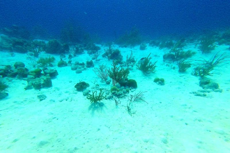 DCIM\100GOPRO\GOPR3220.JPG