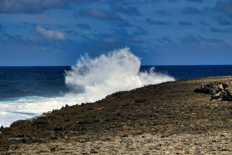 Tag-17-Watamula-Hole-1279